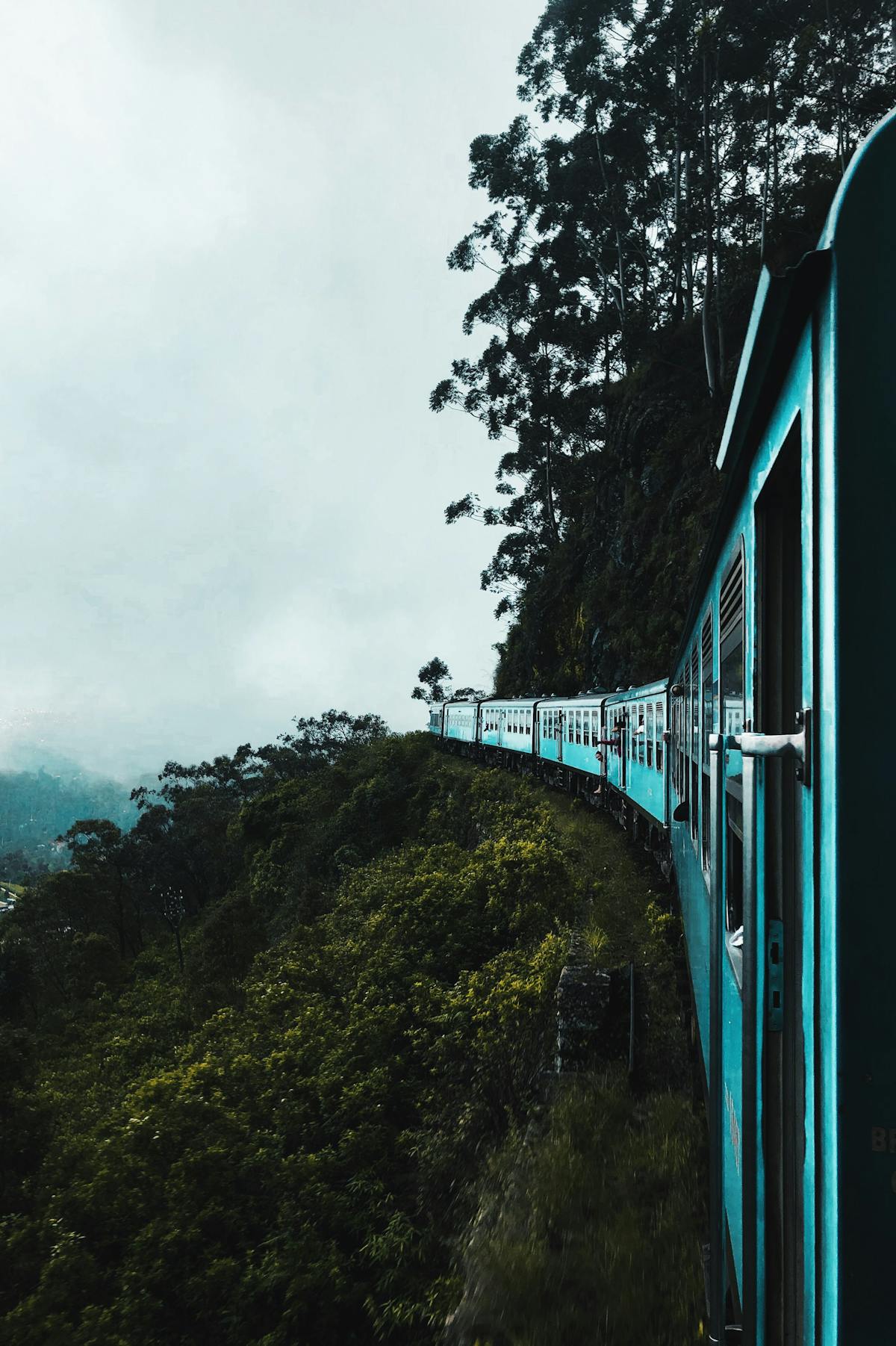 Scenic train through tea plantations